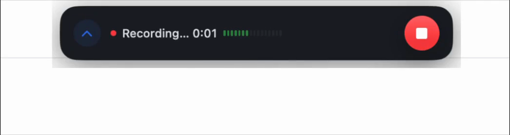 Voice Snippet in compact mini mode